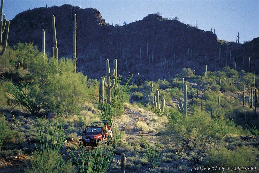 Rancho De Los Caballeros Wickenburg Εξωτερικό φωτογραφία